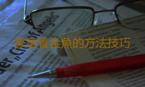 家裏養金魚的方法技巧