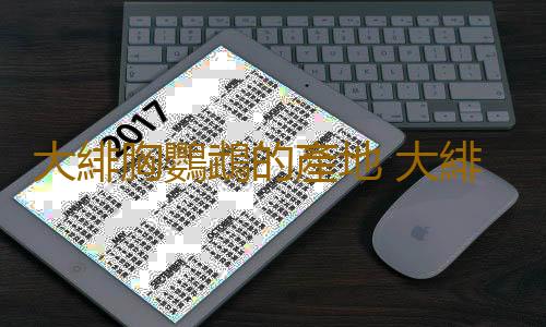 大緋胸鸚鵡的產地 大緋胸鸚鵡的簡介
