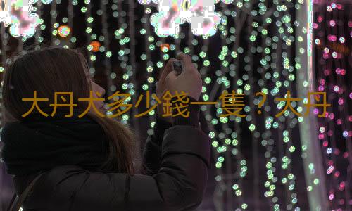 大丹犬多少錢一隻？大丹犬怎麽喂養？