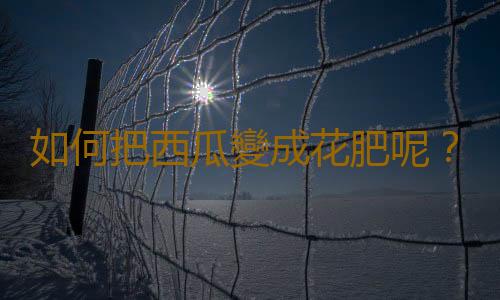 如何把西瓜變成花肥呢？
