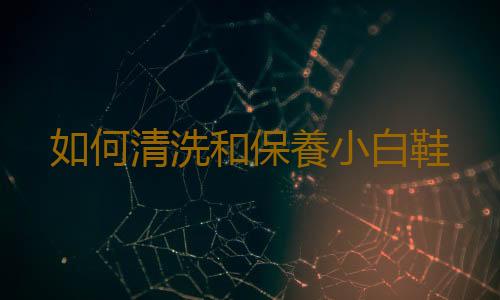 如何清洗和保養小白鞋