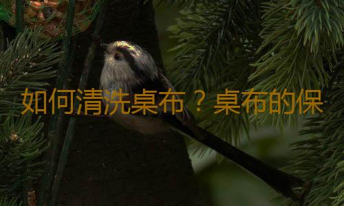 如何清洗桌布？桌布的保養和洗滌