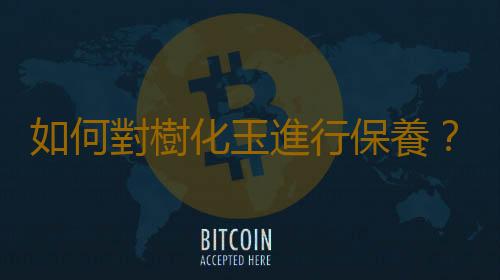 如何對樹化玉進行保養？