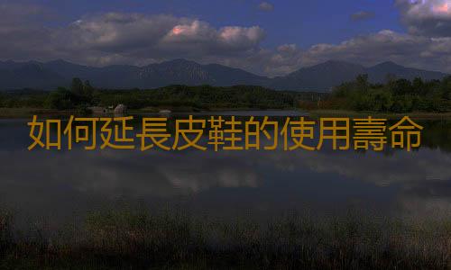如何延長皮鞋的使用壽命