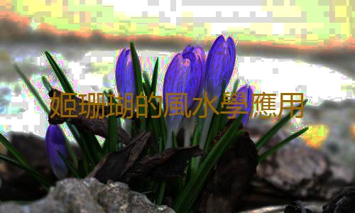 姬珊瑚的風水學應用