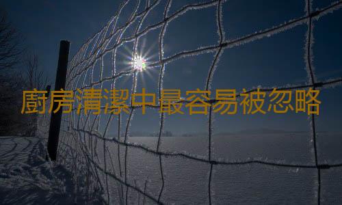 廚房清潔中最容易被忽略的事項