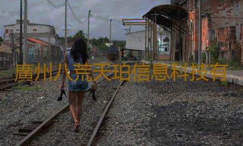 廣州八荒天珀信息科技有限公司攜《枕刀歌之白刃行》角逐2023 CGDA