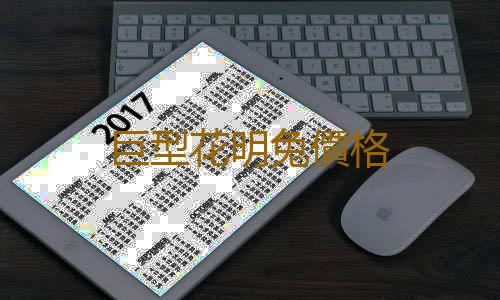 巨型花明兔價格