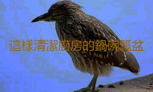 這樣清潔廚房的鍋碗瓢盆更幹淨哦！