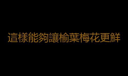 這樣能夠讓榆葉梅花更鮮豔