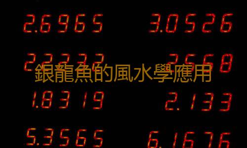 銀龍魚的風水學應用