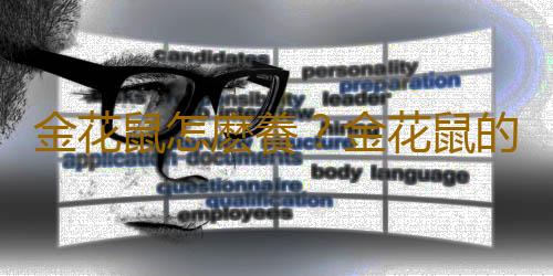 金花鼠怎麽養？金花鼠的喂養要點