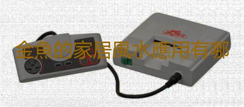 金魚的家居風水應用有哪些？