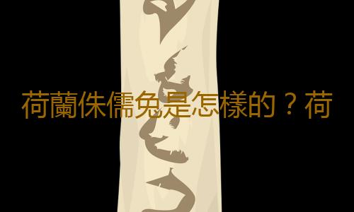 荷蘭侏儒兔是怎樣的？荷蘭侏儒兔的簡介