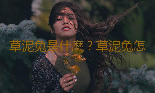 草泥兔是什麽？草泥兔怎麽養？