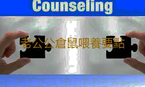 老公公倉鼠喂養要點