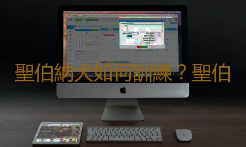聖伯納犬如何訓練？聖伯納犬怎麽養？
