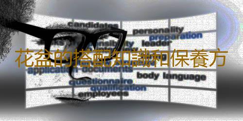 花盆的搭配知識和保養方法