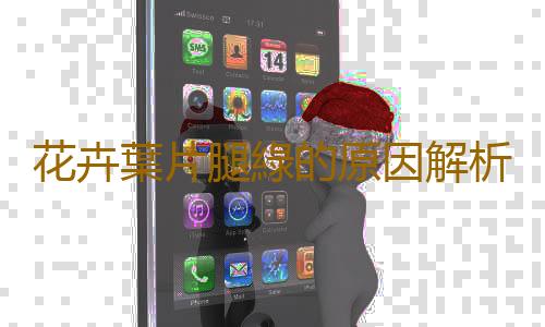 花卉葉片腿綠的原因解析