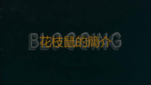 花枝鼠的簡介