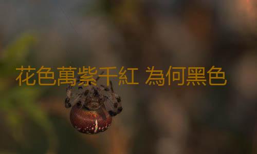 花色萬紫千紅 為何黑色植物稀有少見