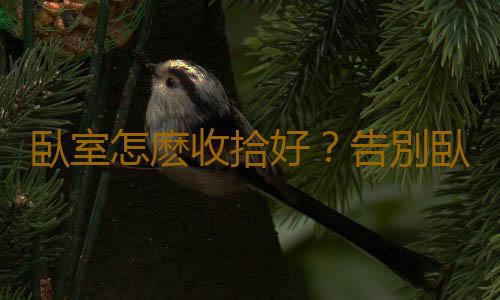 臥室怎麽收拾好？告別臥室淩亂5絕招