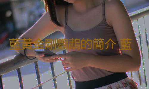 藍黃金剛鸚鵡的簡介 藍黃金剛鸚鵡的生活環境