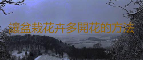 讓盆栽花卉多開花的方法