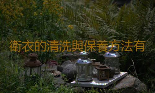 衛衣的清洗與保養方法有哪些