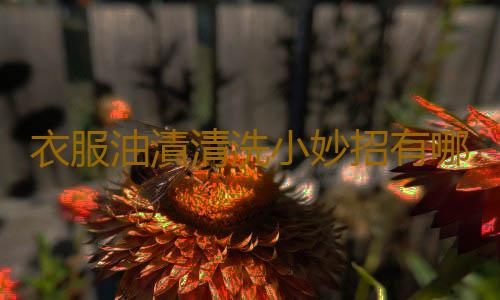 衣服油漬清洗小妙招有哪些