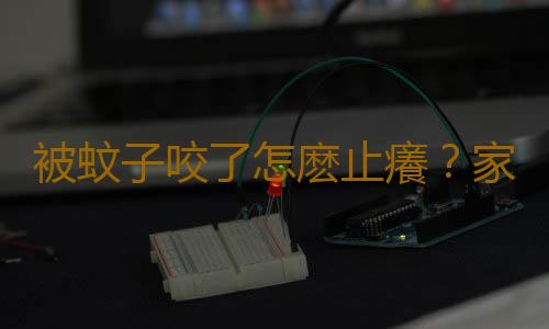 被蚊子咬了怎麽止癢？家庭滅蚊小妙招