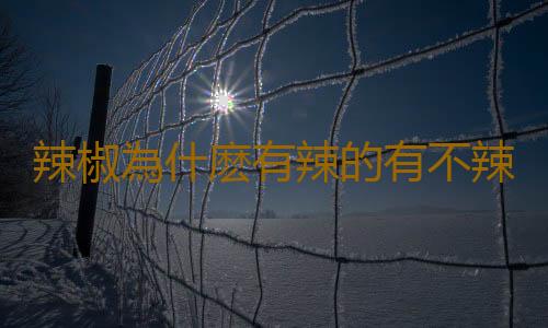 辣椒為什麽有辣的有不辣的 緩解辣味辣椒辣感的方法