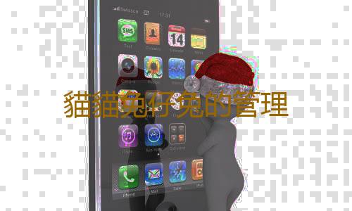 貓貓兔仔兔的管理