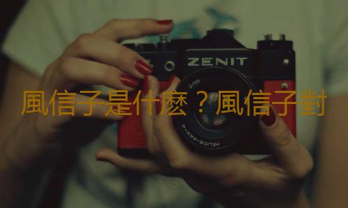 風信子是什麽？風信子對家居環境的影響