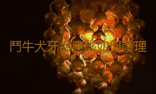 鬥牛犬牙齒應該如何護理？