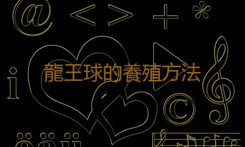 龍王球的養殖方法