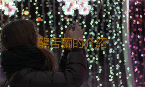 龍舌蘭的介紹