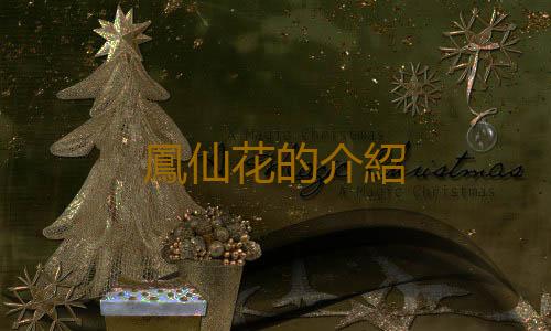 鳳仙花的介紹