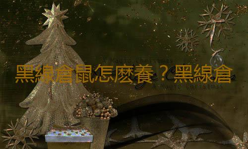 黑線倉鼠怎麽養？黑線倉鼠的生長規律