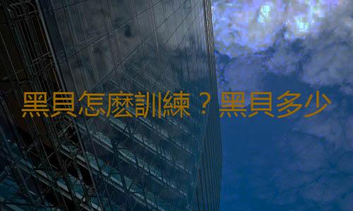 黑貝怎麽訓練？黑貝多少錢一條？