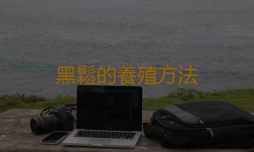 黑鬆的養殖方法
